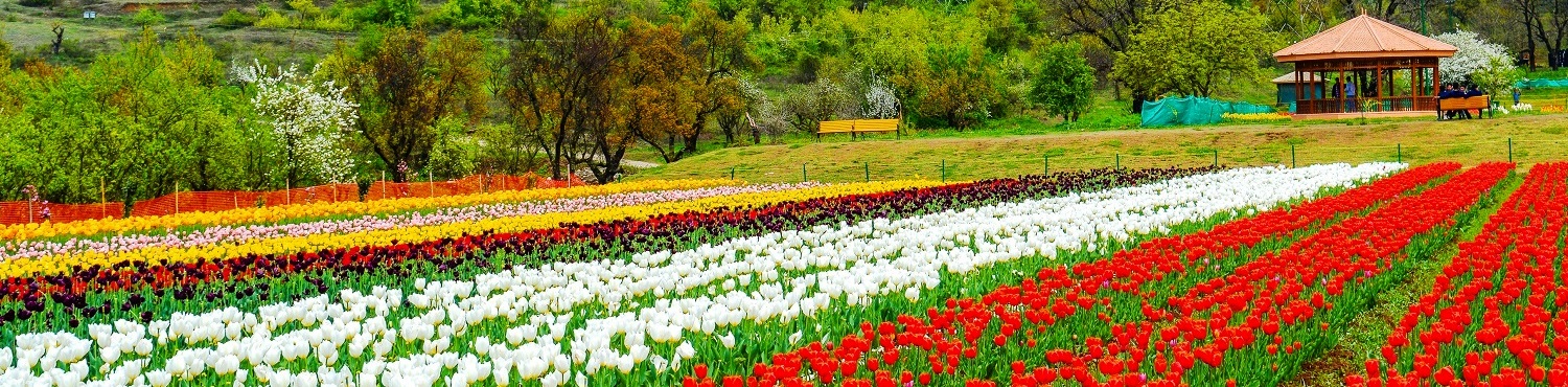 Picture of Package Exotic Kashmir with Gulmarg,pahalgam and sonamarg. 