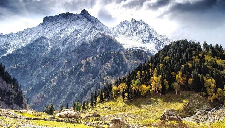 Picture of Package Best of Kashmir With Gulmarg Excursion